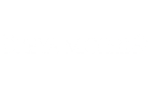The Dreya Michelle Brand 